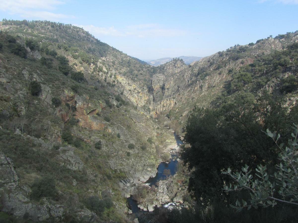 Casa Da Tia Em Tabuaco Βίλα Εξωτερικό φωτογραφία
